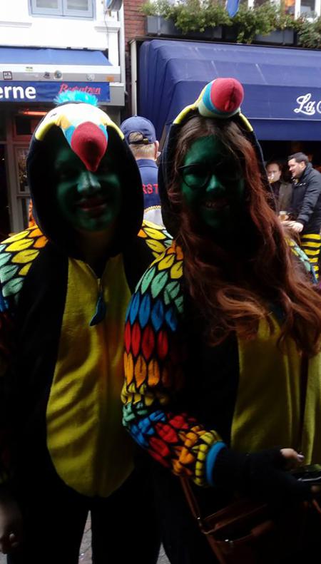 images/images/fotos/carnaval2017/16998702_1283014671737380_5998631504478826661_n.jpg